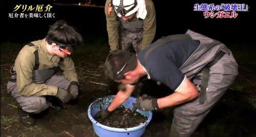 牛哥最新爆料视频大全,揭秘娱乐圈幕后真相 第1张 牛哥最新爆料视频大全,揭秘娱乐圈幕后真相 第1张